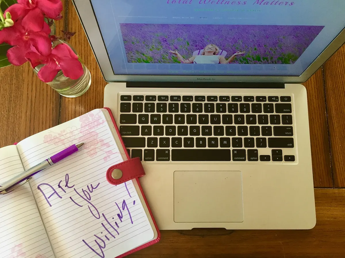 Is a Third-Party Portfolio Platform Enough? Comparing Social Platforms and Your Own Website
