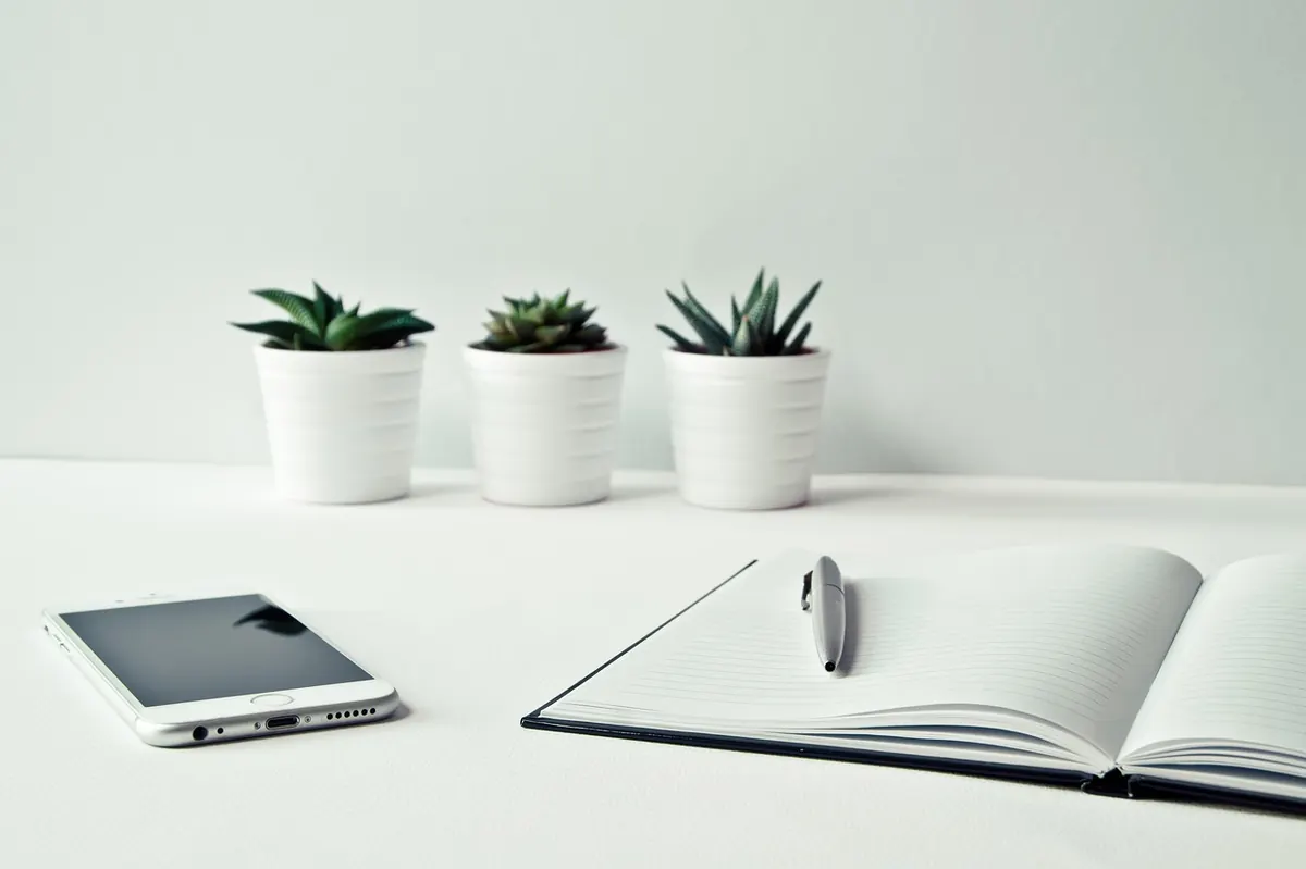 Spring Clean Your Art Portfolio: A Seasonal Website Refresh Checklist